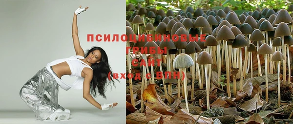 крисы Усмань