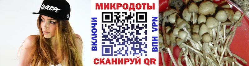где продают   Кисловодск  Галлюциногенные грибы прущие грибы 