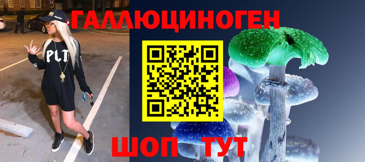 Псилоцибиновые грибы Magic Shrooms  Вход с VPN  Кисловодск 