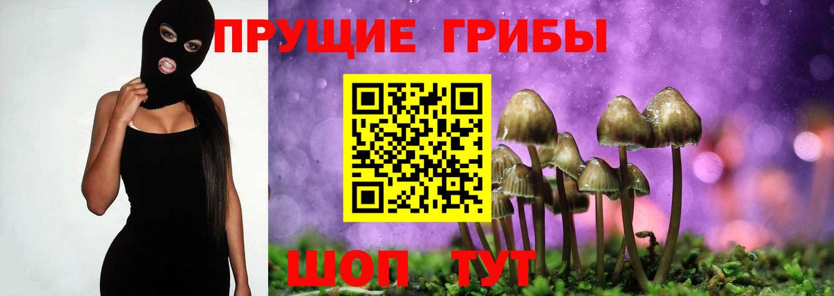Псилоцибиновые грибы Magic Shrooms  Кисловодск 